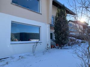 Lichtblick unter der Buche