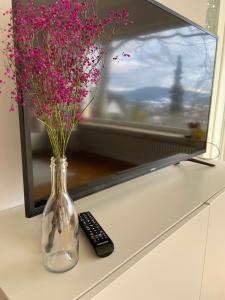 Lichtblick unter der Buche