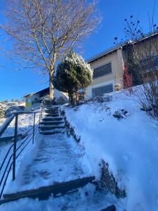 Lichtblick unter der Buche