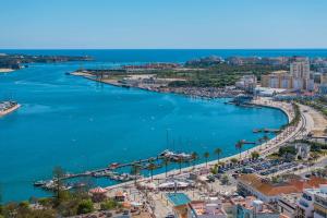 Blue Sardine near Beaches