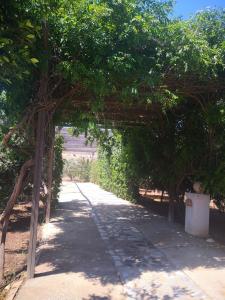 Cortijo Torreblanca - 12 personas