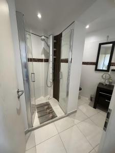 Bel appartement climatisé