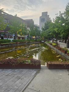 홍대 골든스테이