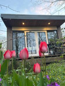 Litehomeatseagoedereede