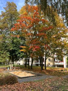 Ferienwohnung Waldstadt