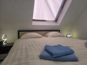 Ivas Cozy Loft Apartment Varna