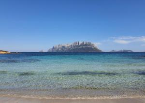 Lazulite - Sardinia Suite