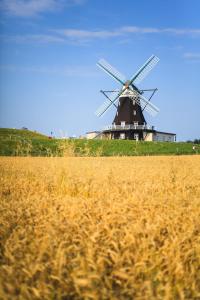 Fewo Nordermühle