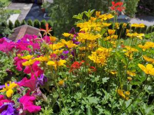 Appartamento Dolomiti Casa Lucia