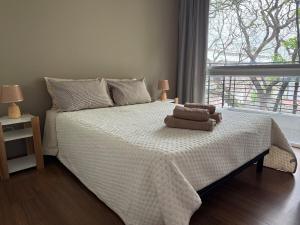 Apartment in Buenos Aires, Colegiales