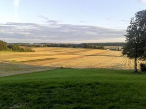 Hof am Horn - Fewos in der Natur