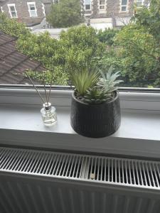 1 Bed Flat