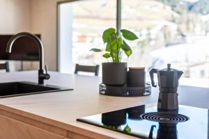 Lena Dolomites Gartensuite