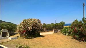 Villa Rosa Sea View img12
