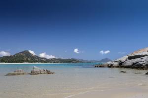 Nido 4 img19