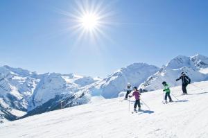 Hof am Schloss Apartement Lärche