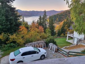 Villa Freddie Mavrovo - Lakeview House