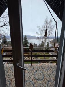 Villa Freddie Mavrovo - Lakeview House