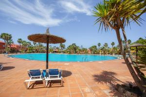 Oasis Bahia Fronte Piscine