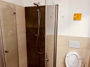 Residence Zirmer Wohnung Erde