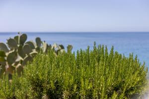 La Terrazza sul Mare img26