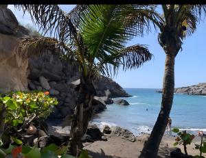 Tu Alojamiento En Playa Paraiso