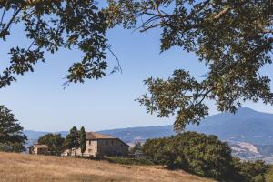 Masseria del bosco Palazzone