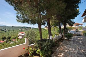 Zante View Family Studio 5