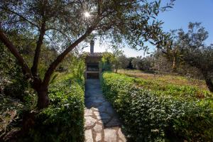 Tipica Casa di Campagna - Orosei img26