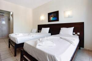 Paradise Zante Standard Studio 4