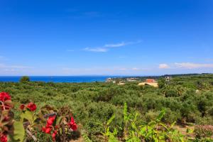 Zante View villa Odysseus