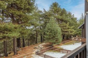 Apartamento La Mainera