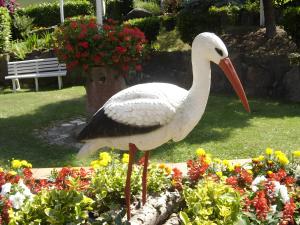 Gîte Les Sapins Bleus - Kaysersberg