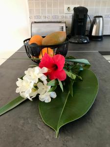 apartment residence doña lola sea