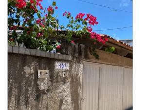 Casa amora olinda