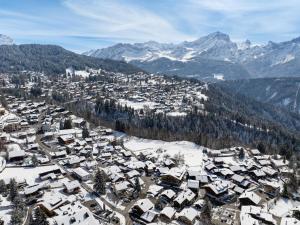 Chalet Dipankar by Interhome