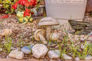 Serra Fuster - Casa Tolleric