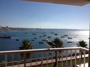 Cascais Bay Terrace V