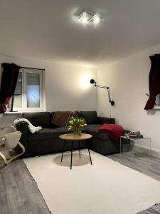 Cozy Waldshut Hideaway close to Switzerland
