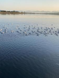 Appartamento a 10 minuti dal mare