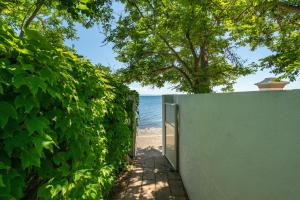 Villa Ondina 1 Carloforte img28