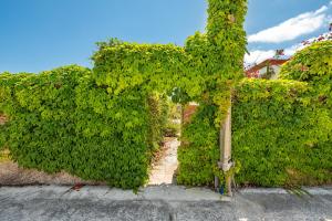 Villa Ondina 1 Carloforte img25