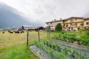 Agriturismo La Grange