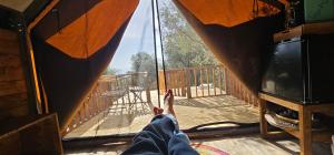 Casa Novena glamping tra gli uliveti