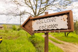 Vallone di Cecione