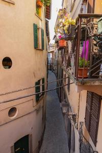 Cozy home, a few minutes walk from the train and ferry