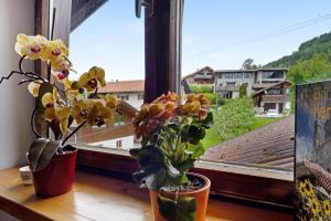 Ferienwohnung Wendelinus