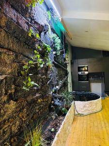 Jungle Gite