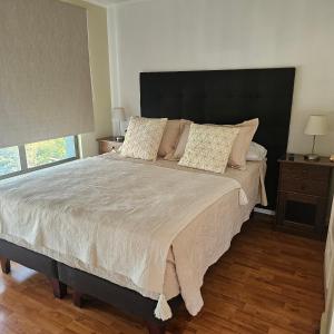 Apartamento en stgo 20