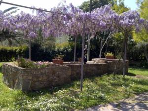 Agriturismo Debbione Maro